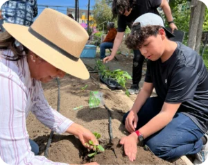 A woman and a young boy patting the soil around a newly planted sprout.